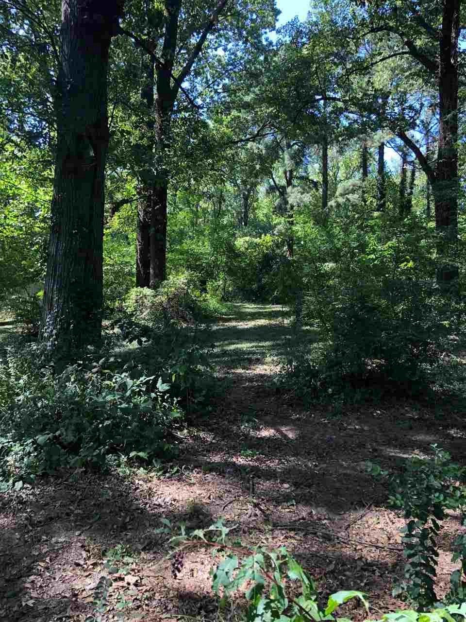 1293 Old Hickory Road Memphis, TN 38116 - Photo 12 of 12 Gallery Image 12