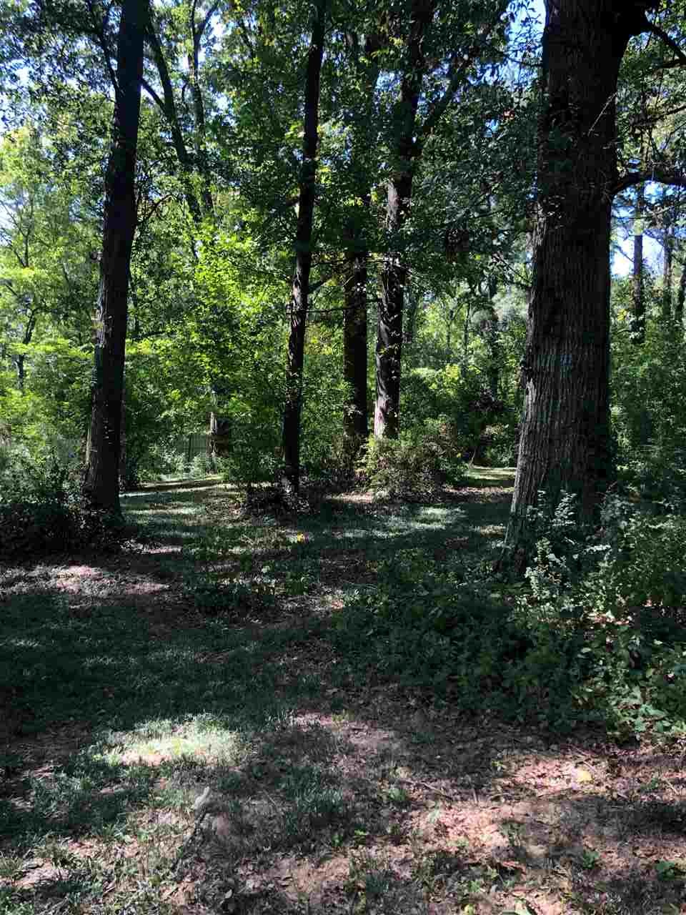 1293 Old Hickory Road Memphis, TN 38116 - Photo 6 of 12 Gallery Image 6