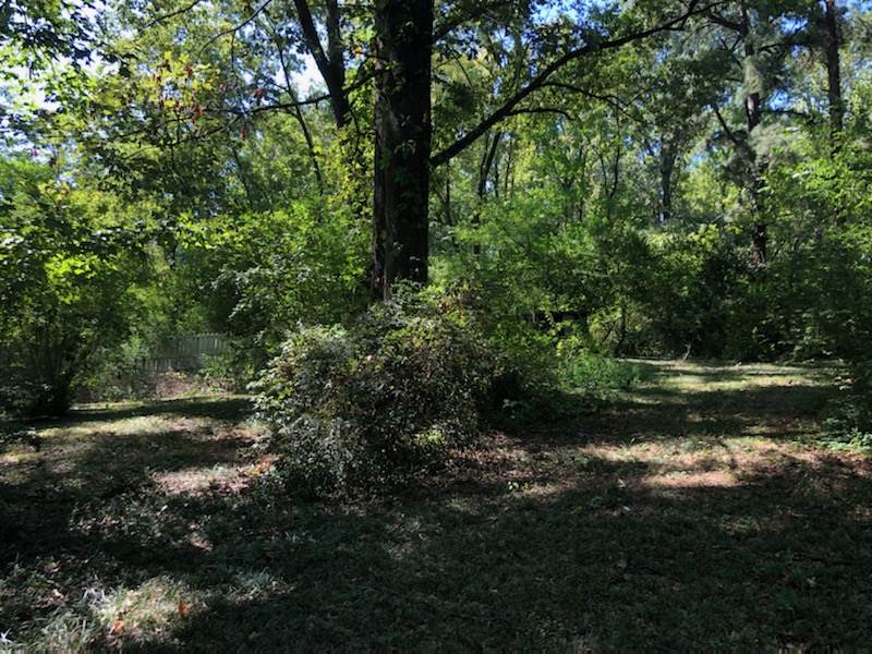 1293 Old Hickory Road Memphis, TN 38116 - Photo 9 of 12 Gallery Image 9