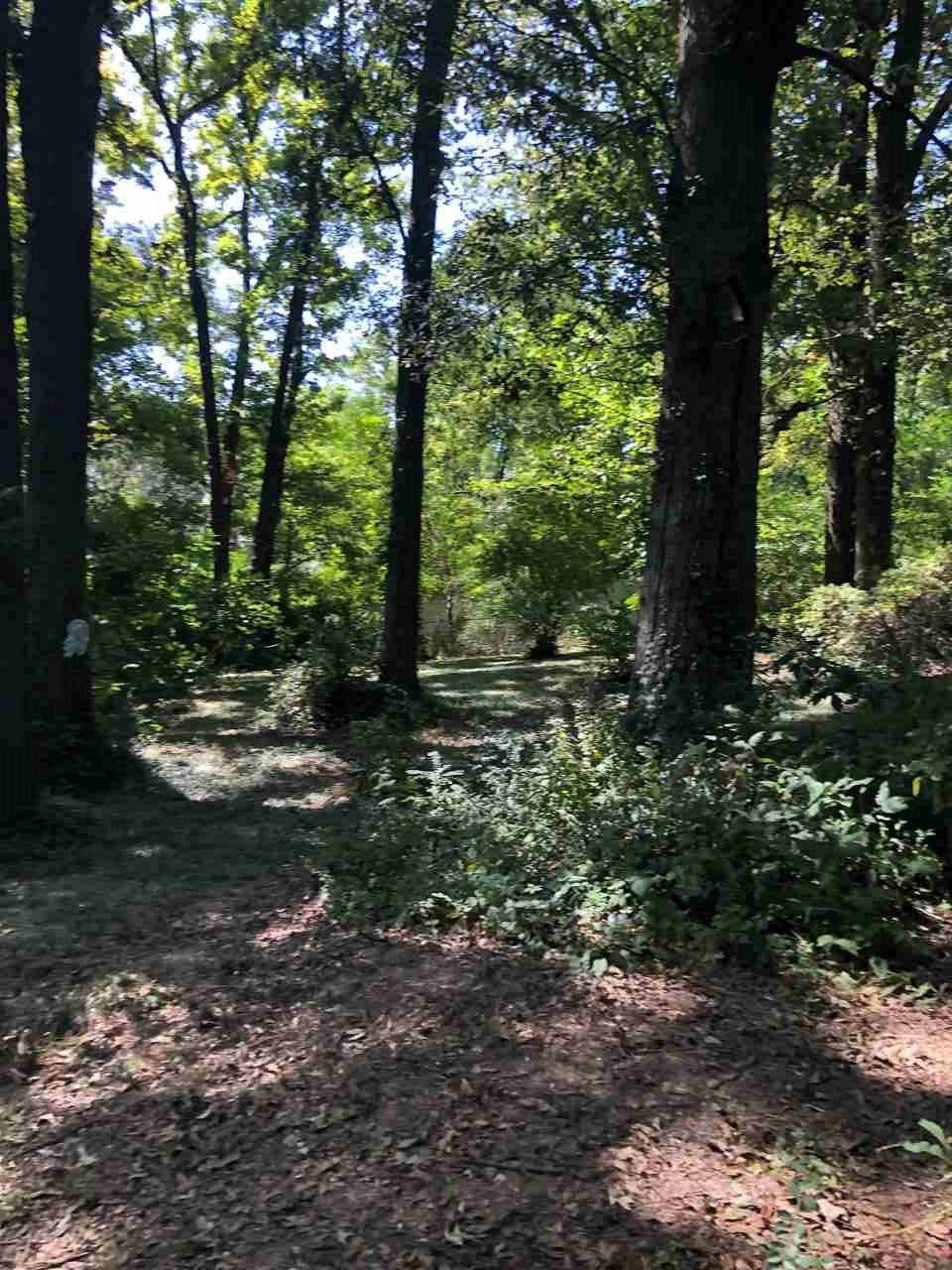 1293 Old Hickory Road Memphis, TN 38116 - Photo 10 of 12 Gallery Image 10