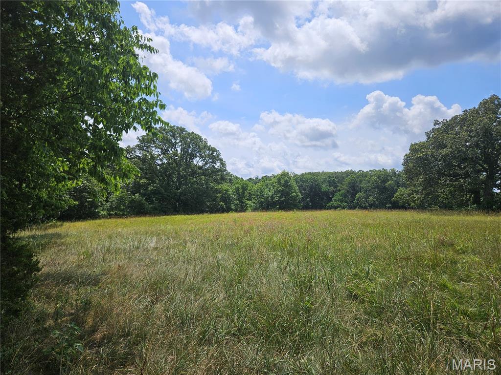 0 Misty Road Pinckneyville, IL 62274 - Photo 10 of 25