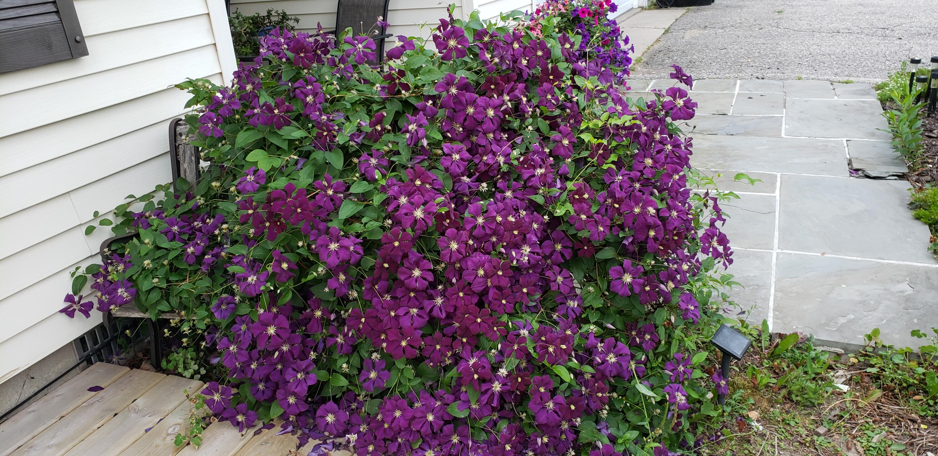 2239 East Levering Road Cheboygan, MI 49721 - Photo 17 of 56 Gallery Image 17