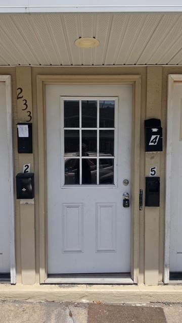 233 East Ridge Street Lansford, PA 18232 - Photo 10 of 10 A classic white door with glass panels offers a welcoming entryway, flanked by individual mailboxes for each unit.