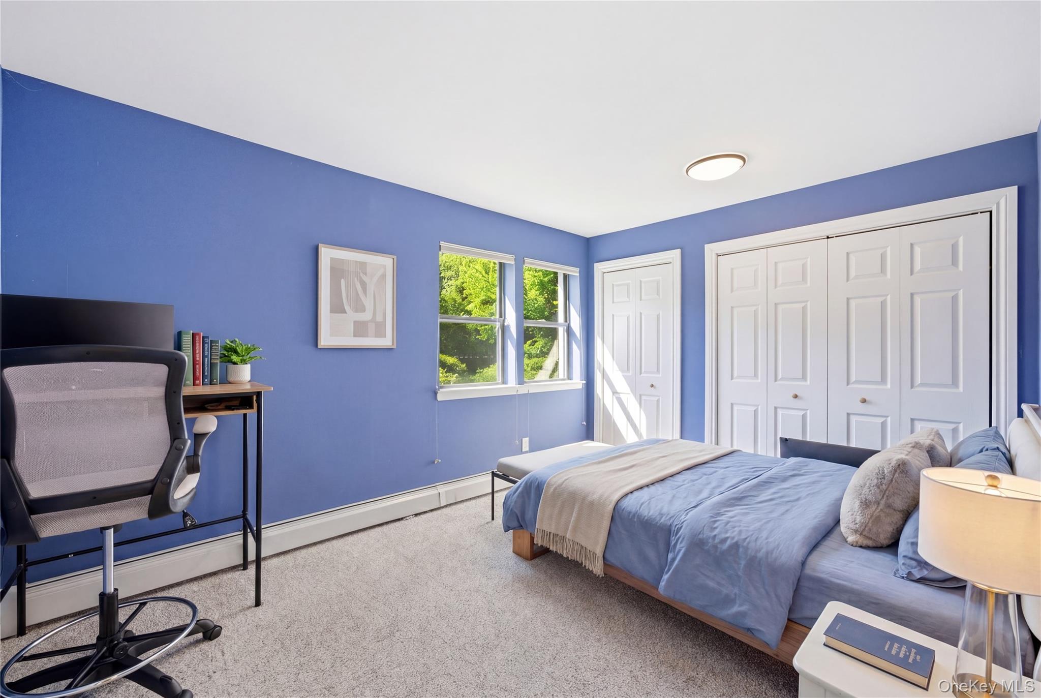 199 Cold Spring Road Syosset, NY 11791 - Photo 14 of 48