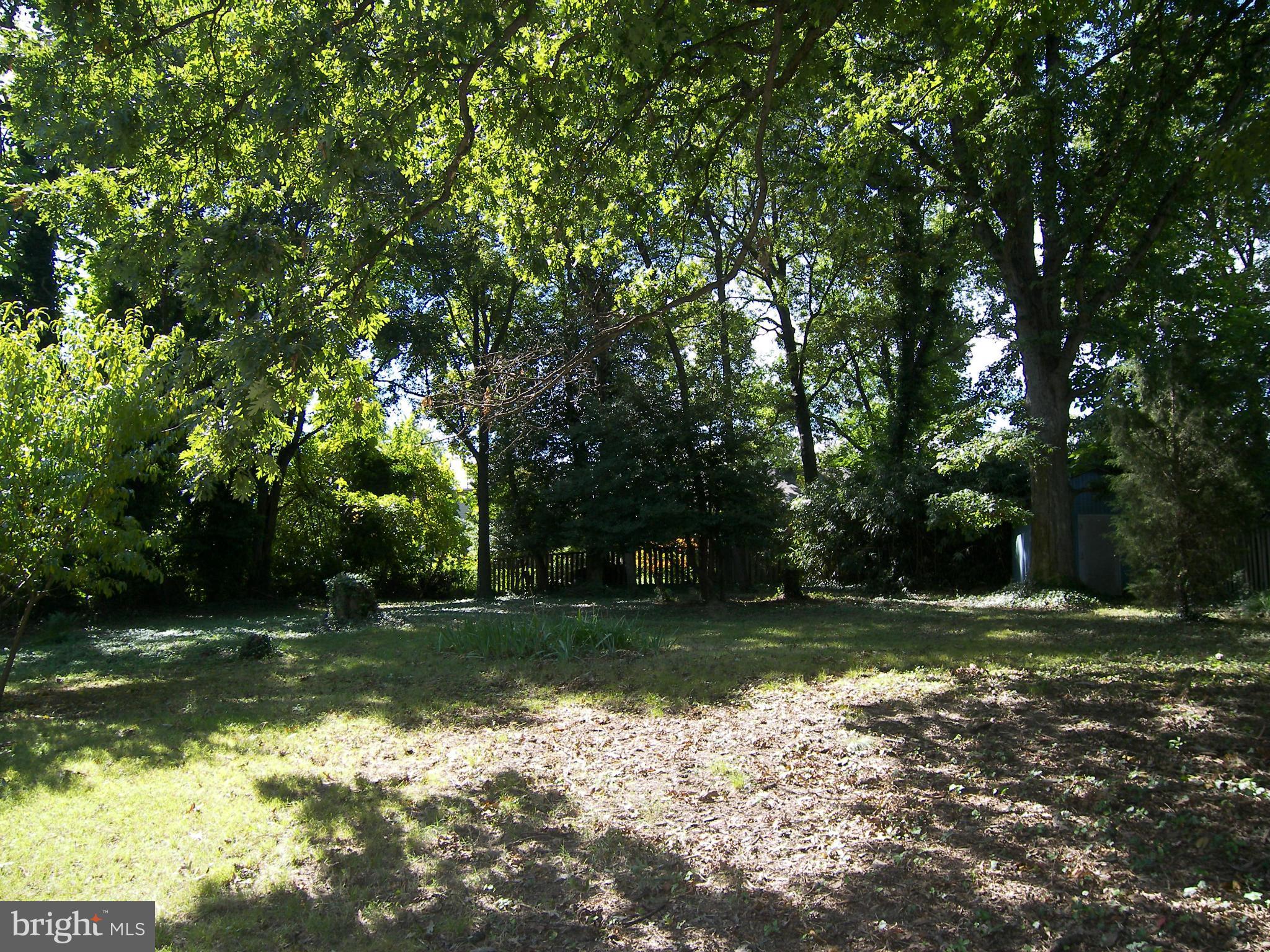 606 Potomac Avenue Silver Spring, MD 20910 - Photo 25 of 25 Exterior (Rear)