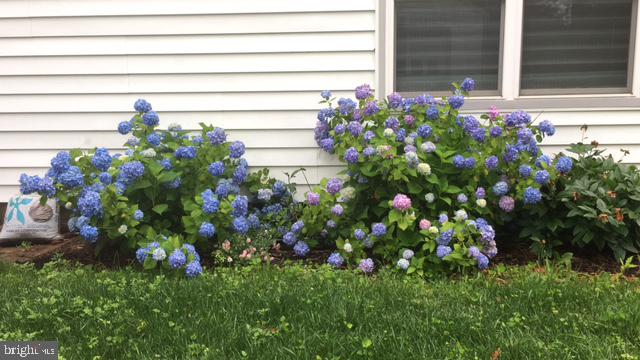 8820 Fort Hunt Road Alexandria, VA 22308 - Photo 36 of 36 Gallery Image 36