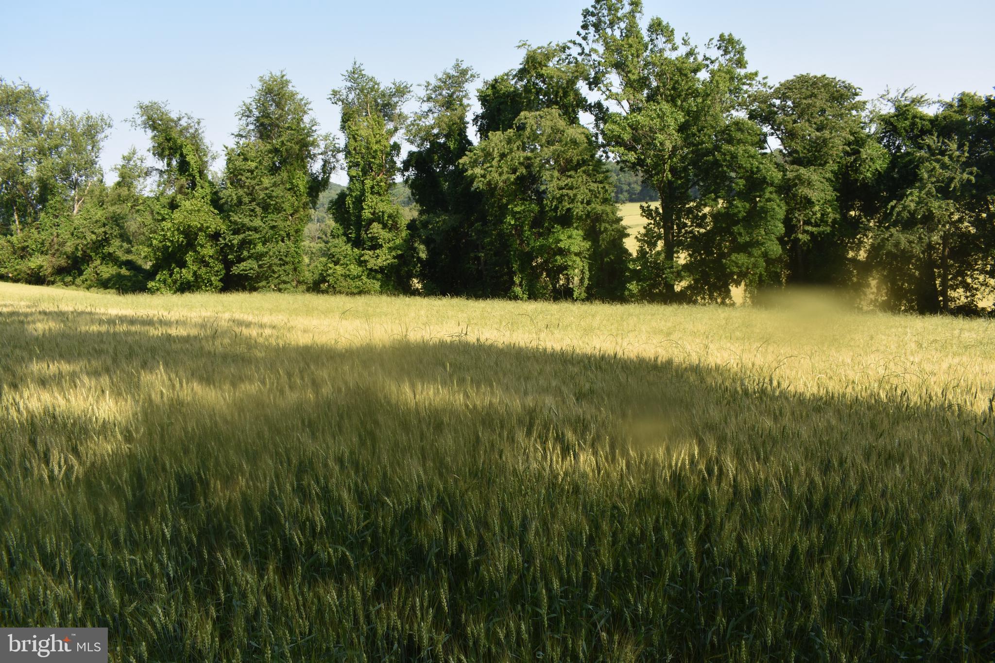 No ag preservation programs in place!