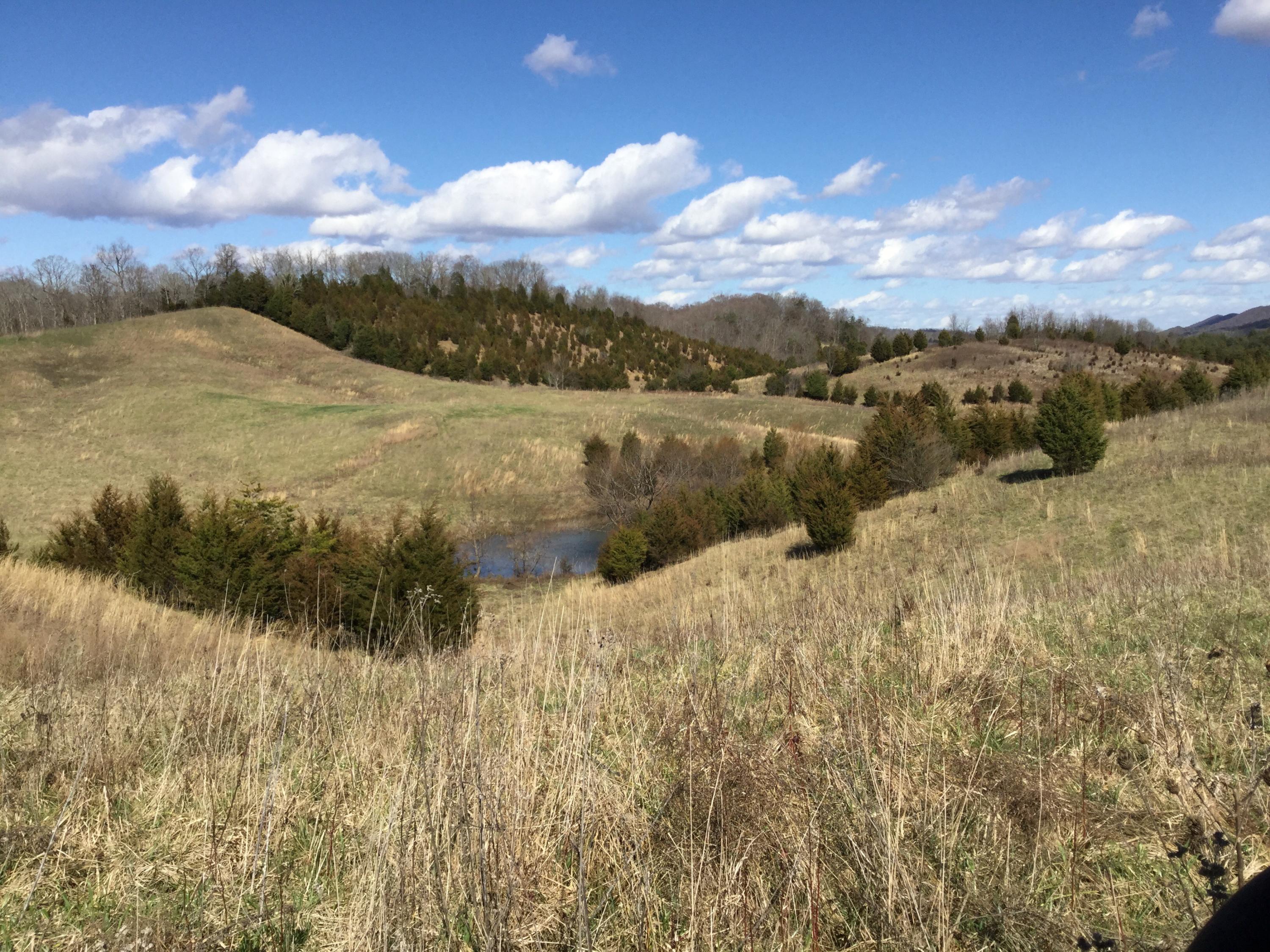 Tbd Webster Valley Road, Unit 1 Rogersville, TN 37857 - Photo 1 of 29 Hawkins 71 first pic