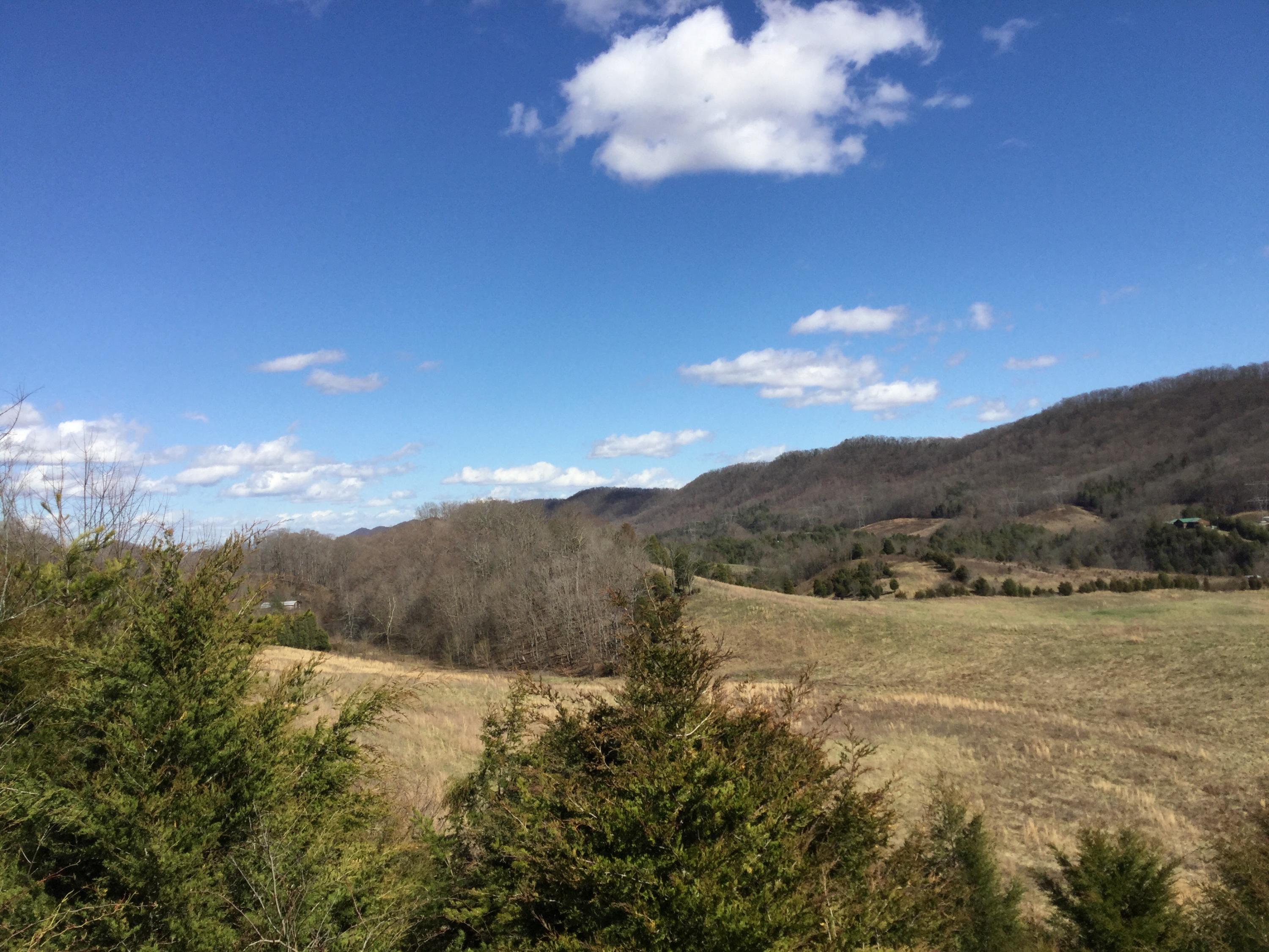 Tbd Webster Valley Road, Unit 1 Rogersville, TN 37857 - Photo 12 of 29 IMG_0104