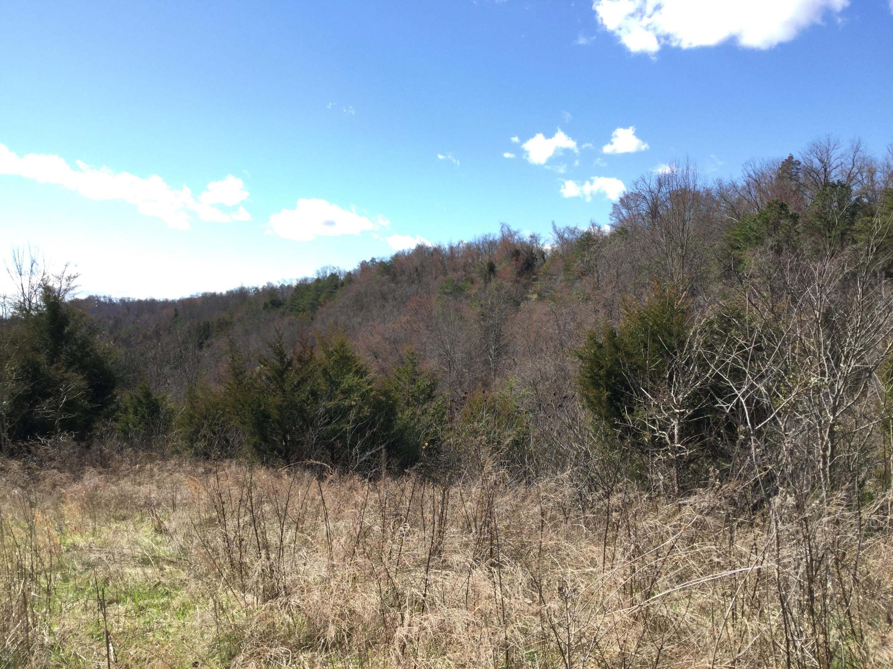 Tbd Webster Valley Road, Unit 1 Rogersville, TN 37857 - Photo 13 of 29 IMG_0105