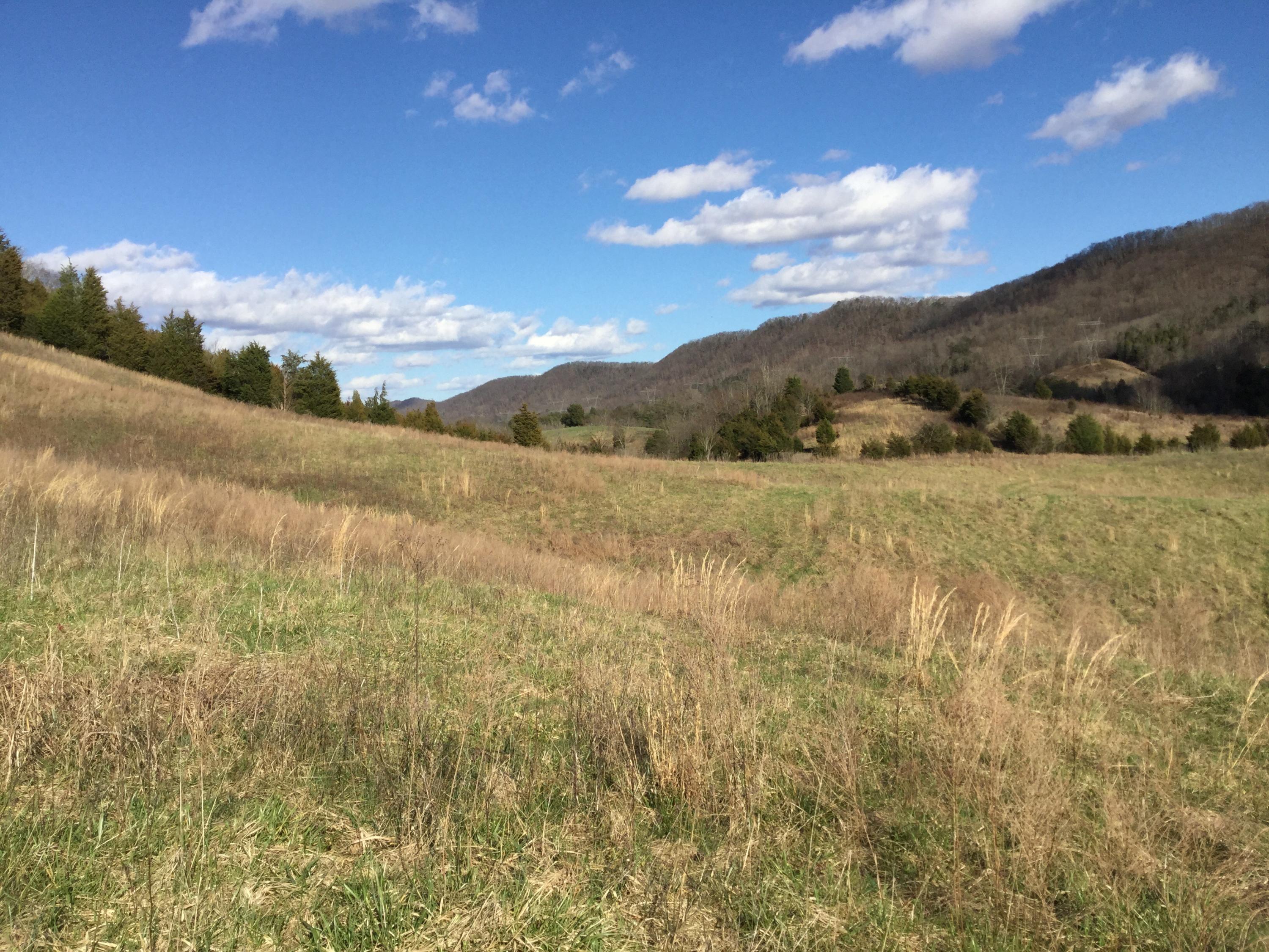 Tbd Webster Valley Road, Unit 1 Rogersville, TN 37857 - Photo 2 of 29 Hawkins Pic 1