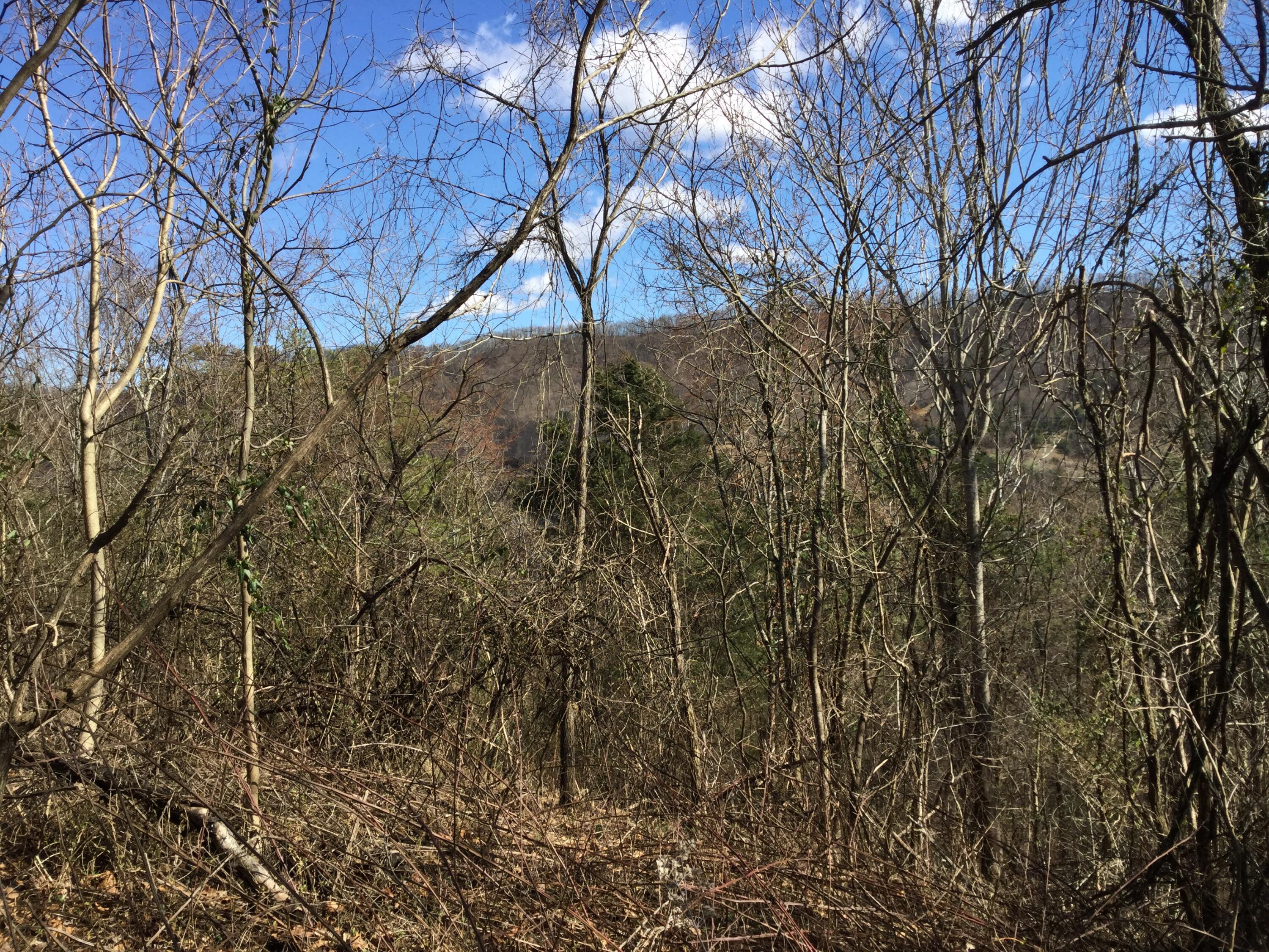 Tbd Webster Valley Road, Unit 1 Rogersville, TN 37857 - Photo 21 of 29 IMG_0114