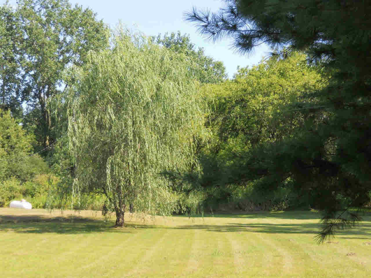 6853 Hess Road Vassar, MI 48768 - Photo 21 of 21 21357819-20.JPG