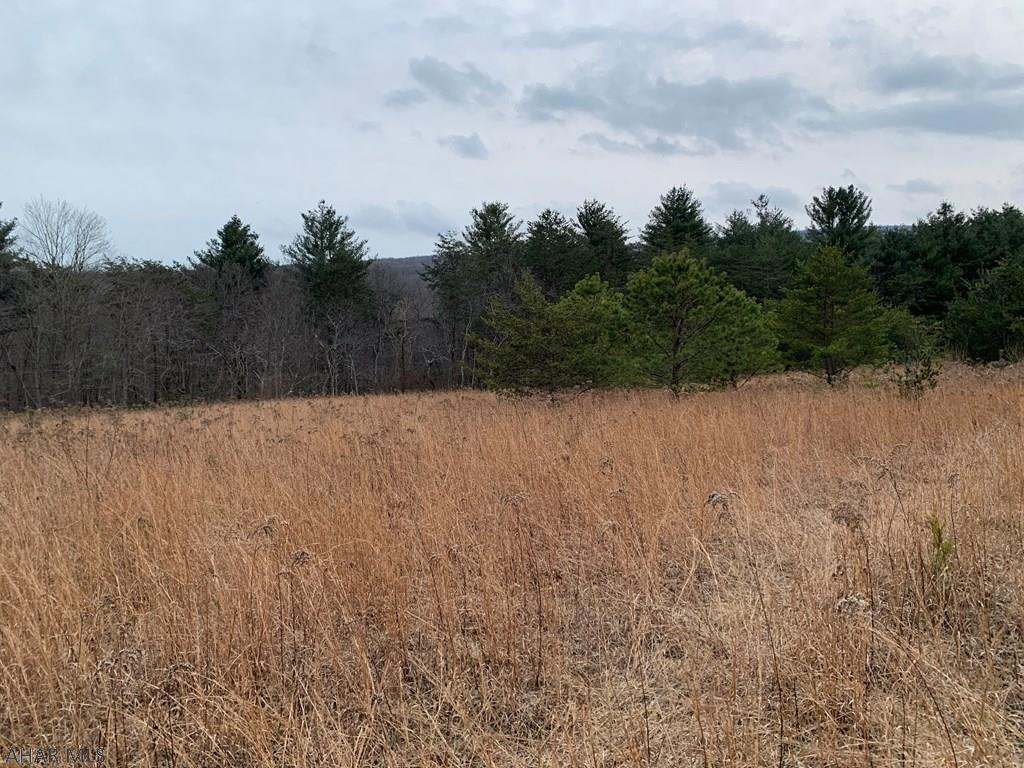 27.9-ac Sandy Run Road Hopewell, PA 16650 - Photo 22 of 33 Gallery Image 22