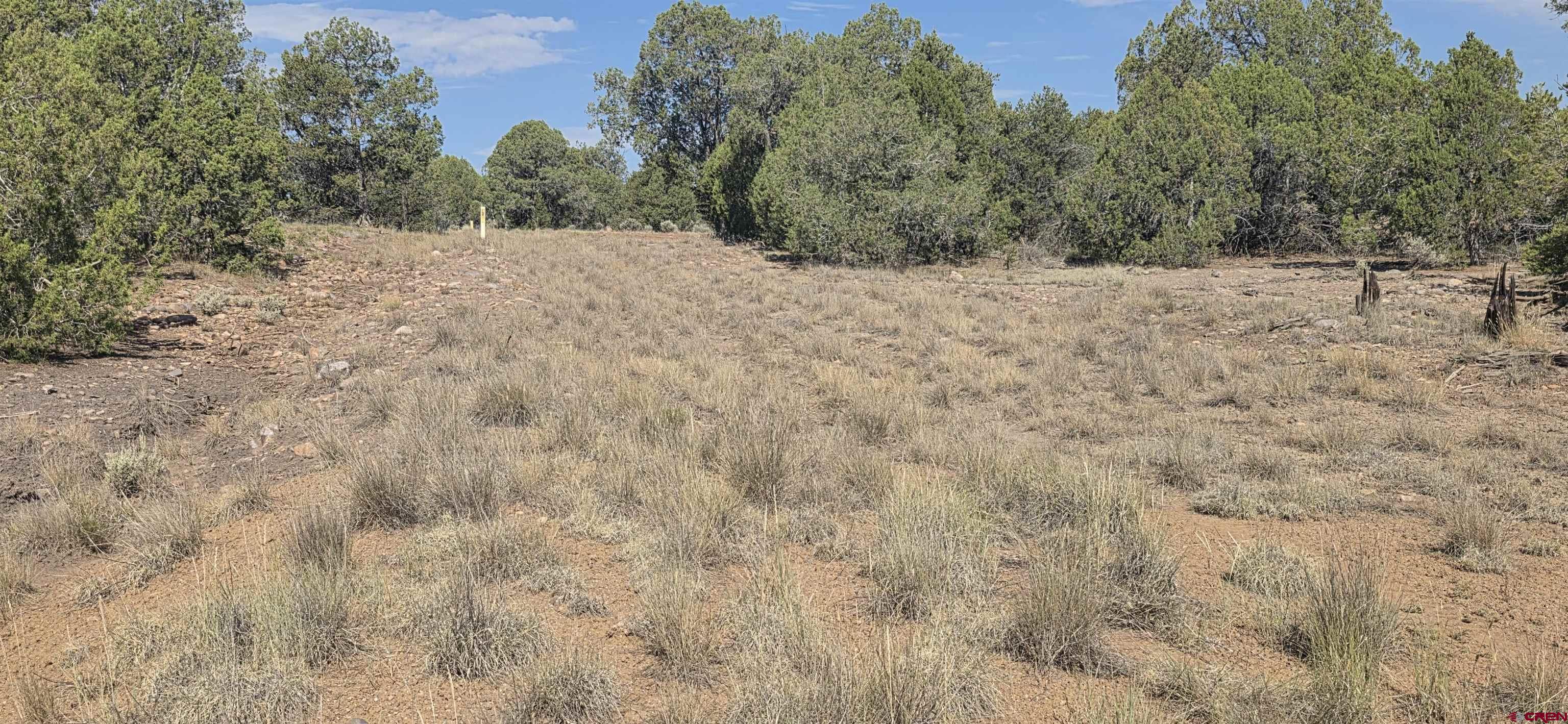 310 Ignacio Co 81137 Ignacio, CO 81137 - Photo 23 of 25