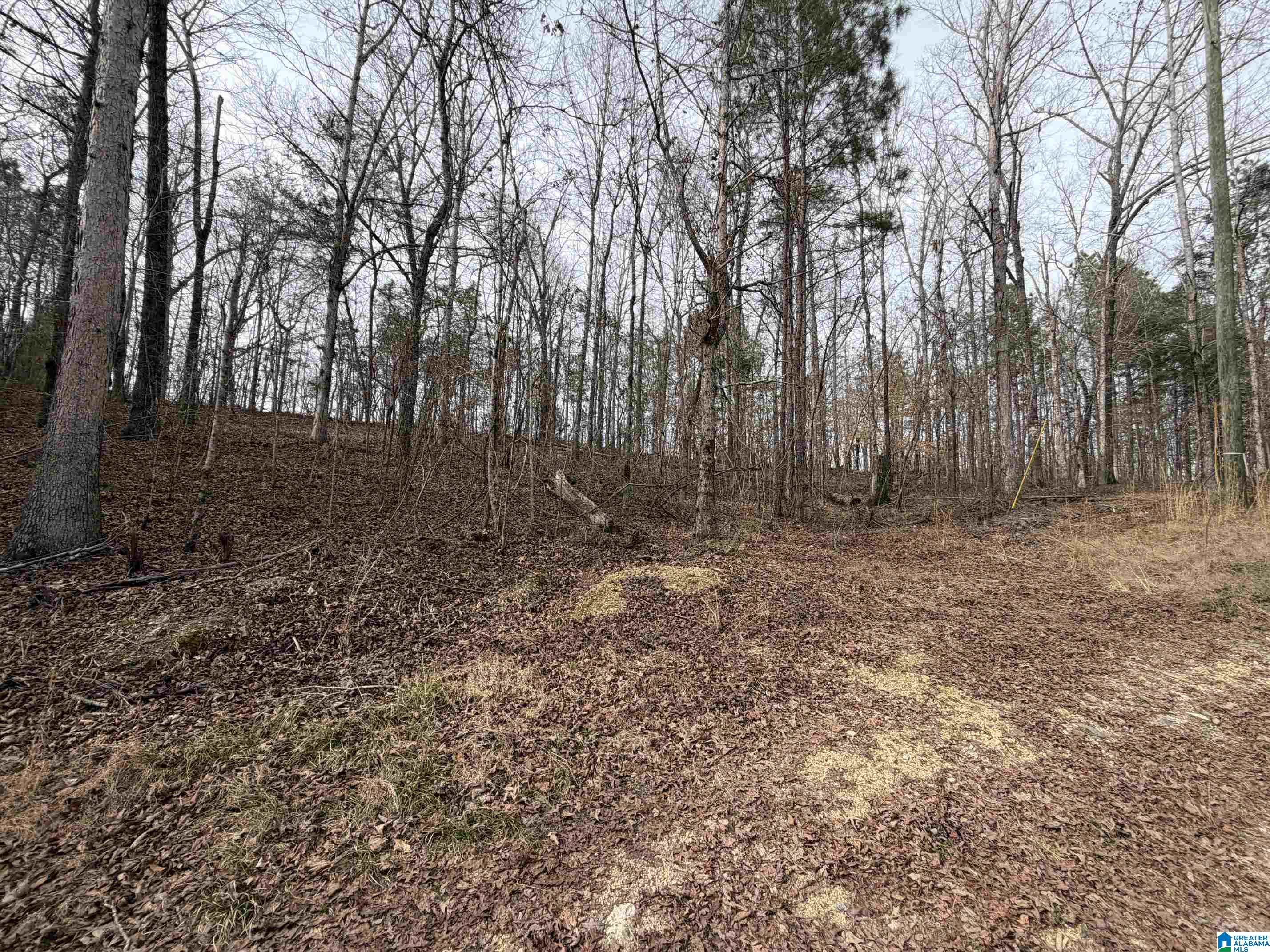 0 James Lake Road, Unit 1 Trussville, AL 35173 - Photo 8 of 18