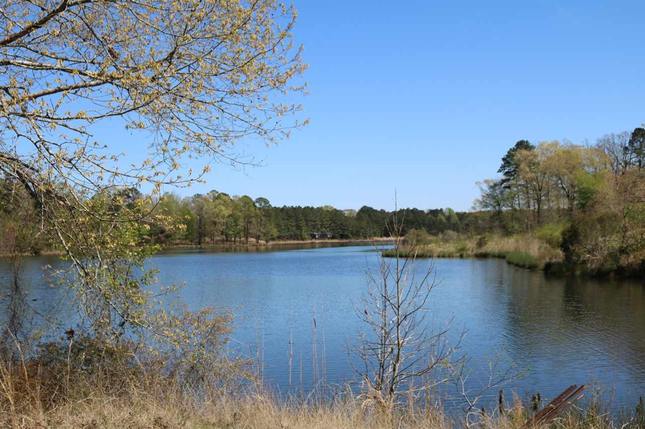 0 Cooper Lake Road Morton, MS 39117 - Photo 4 of 34 Photo 4