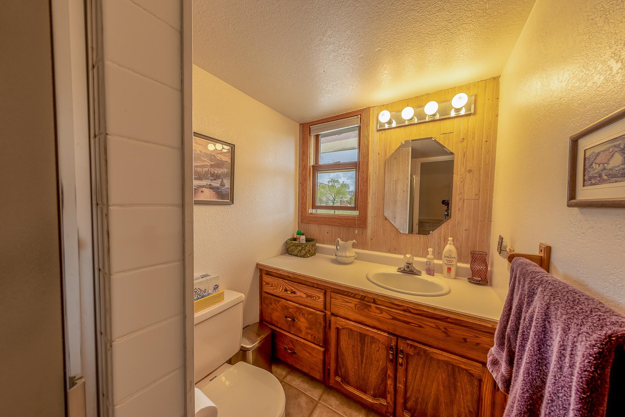 733-35 35 6/10 Road Palisade, CO 81526 - Photo 8 of 42 a bathroom with a sink a toilet and mirror