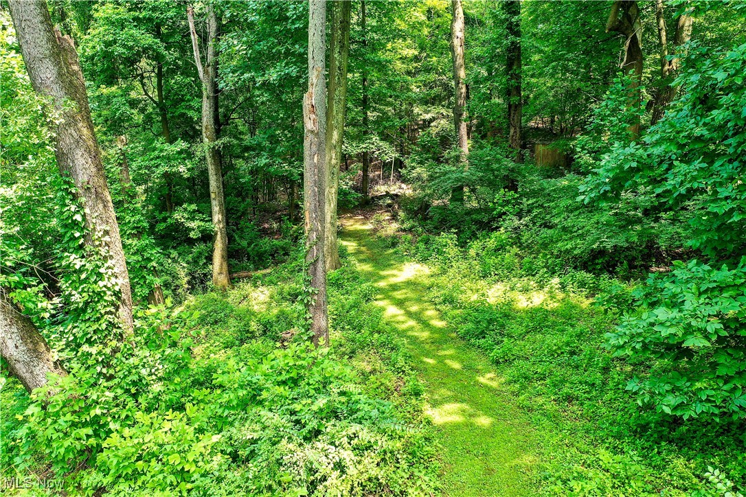 1236 Spring Valley Avenue Northwest Canton, OH 44708 - Photo 27 of 28 View of woods