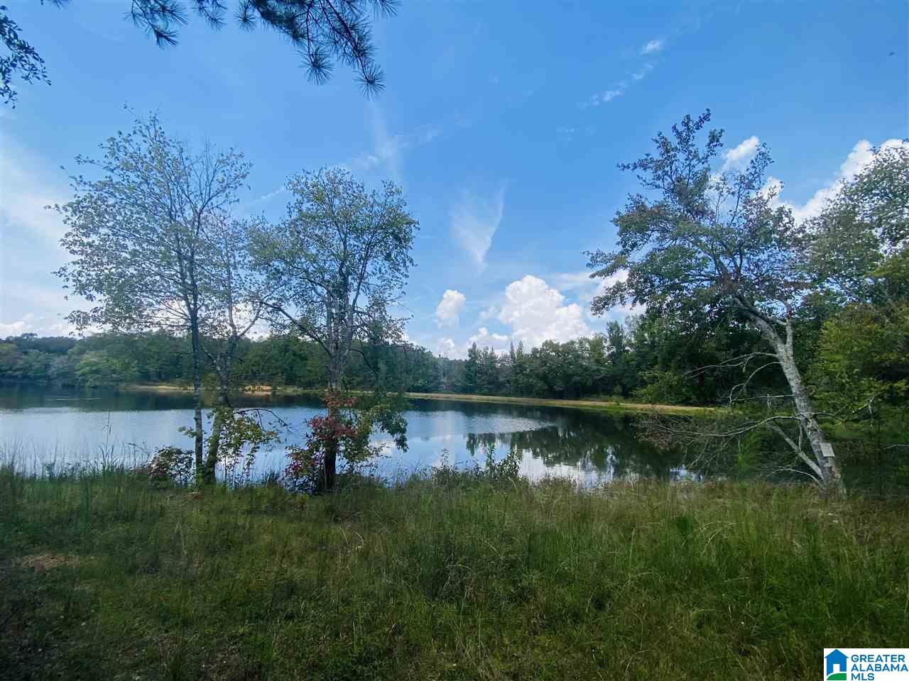 2560 Joe Lee Road, Unit 1 Talladega, AL 35160 - Photo 10 of 35
