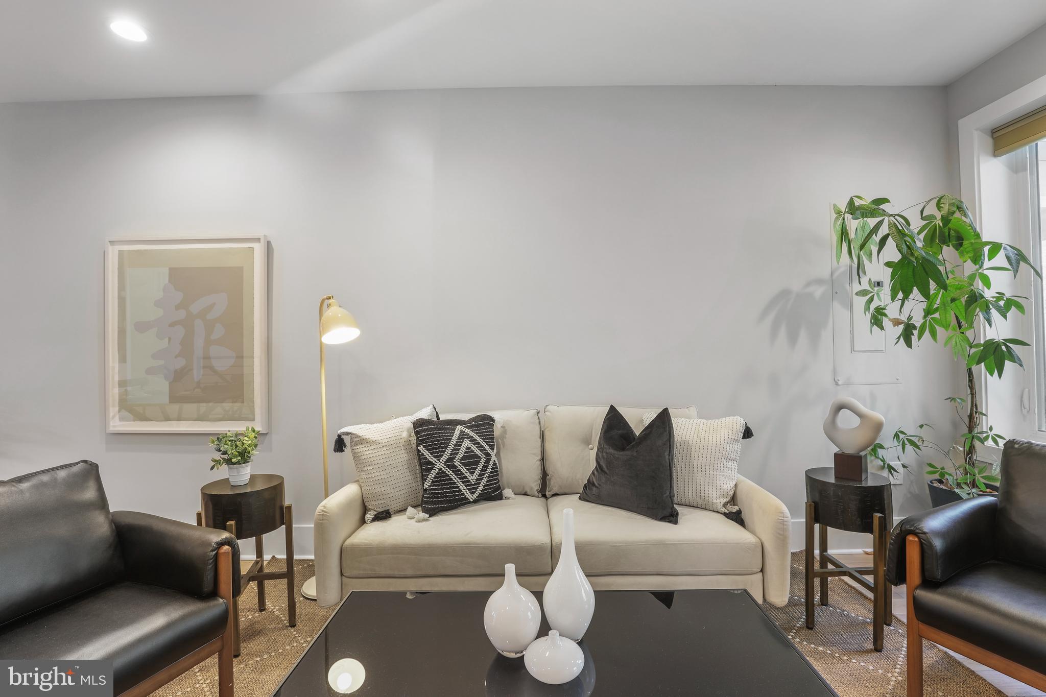 113 U Street Northeast, Unit 1 Washington, DC 20002 - Photo 11 of 63 a living room with furniture and a potted plant