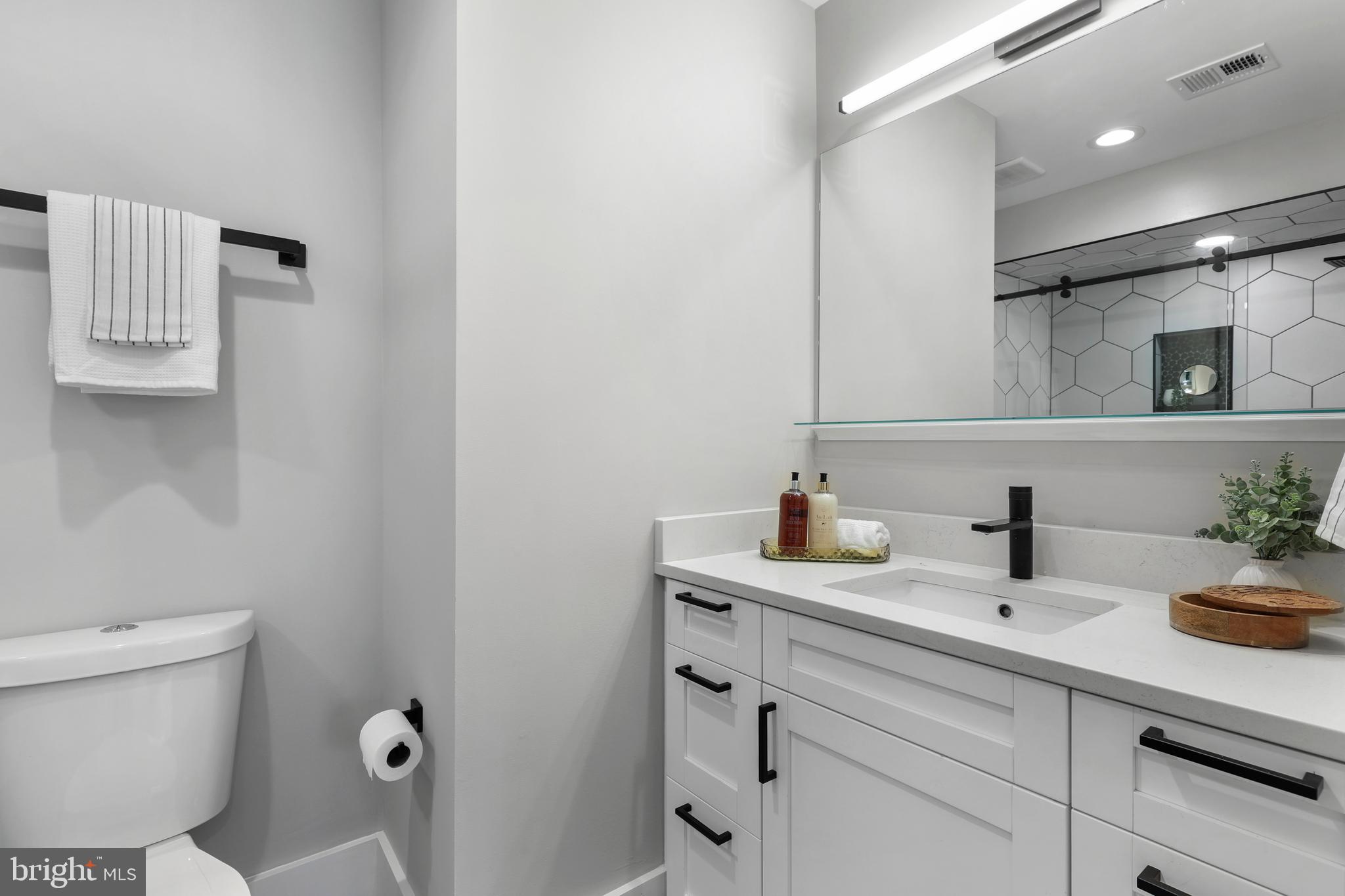 113 U Street Northeast, Unit 1 Washington, DC 20002 - Photo 43 of 63 a bathroom with a sink a toilet and mirror