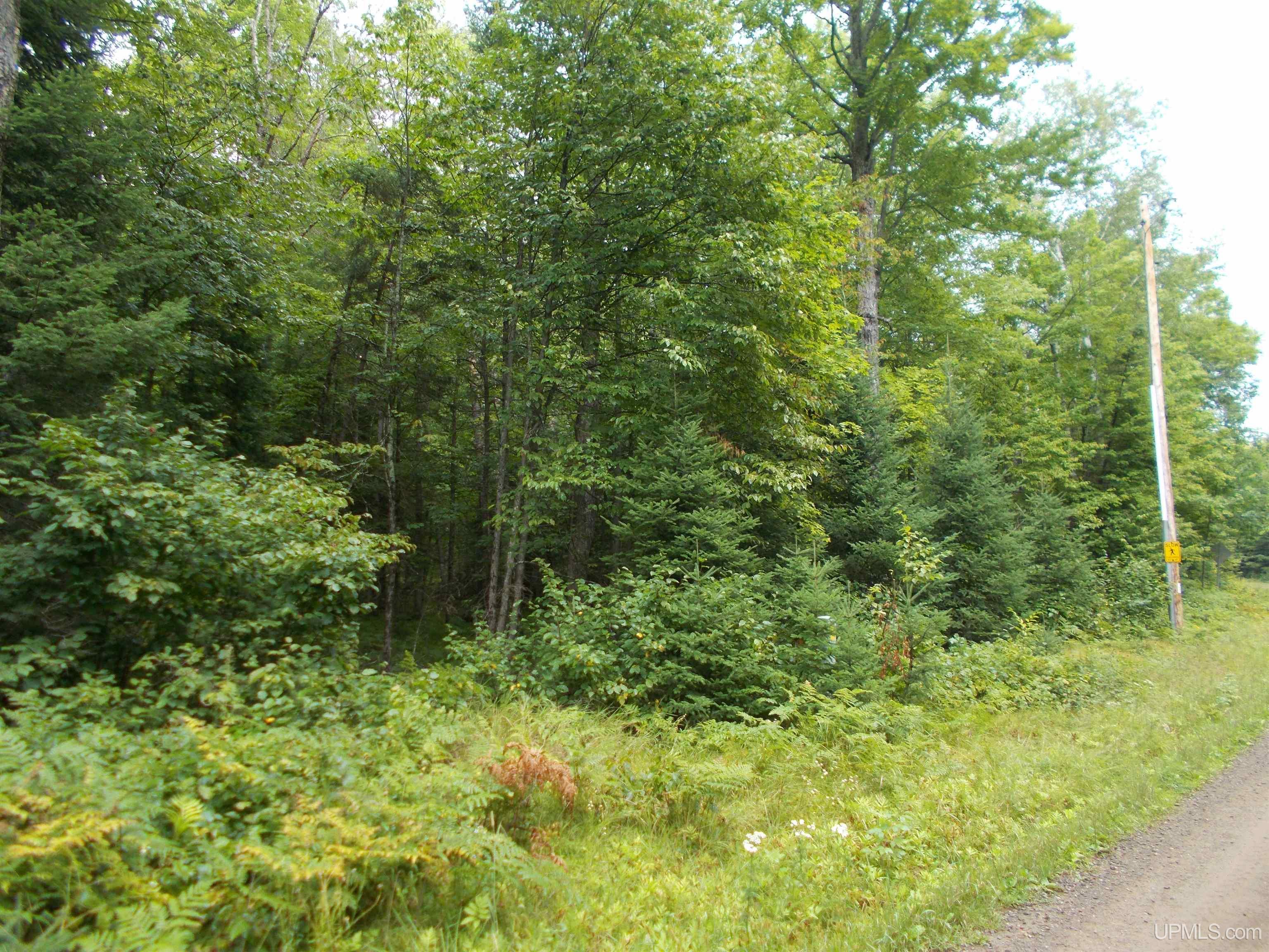 T-wi Turtle Creek Road Florence, WI 54121 - Photo 1 of 10
