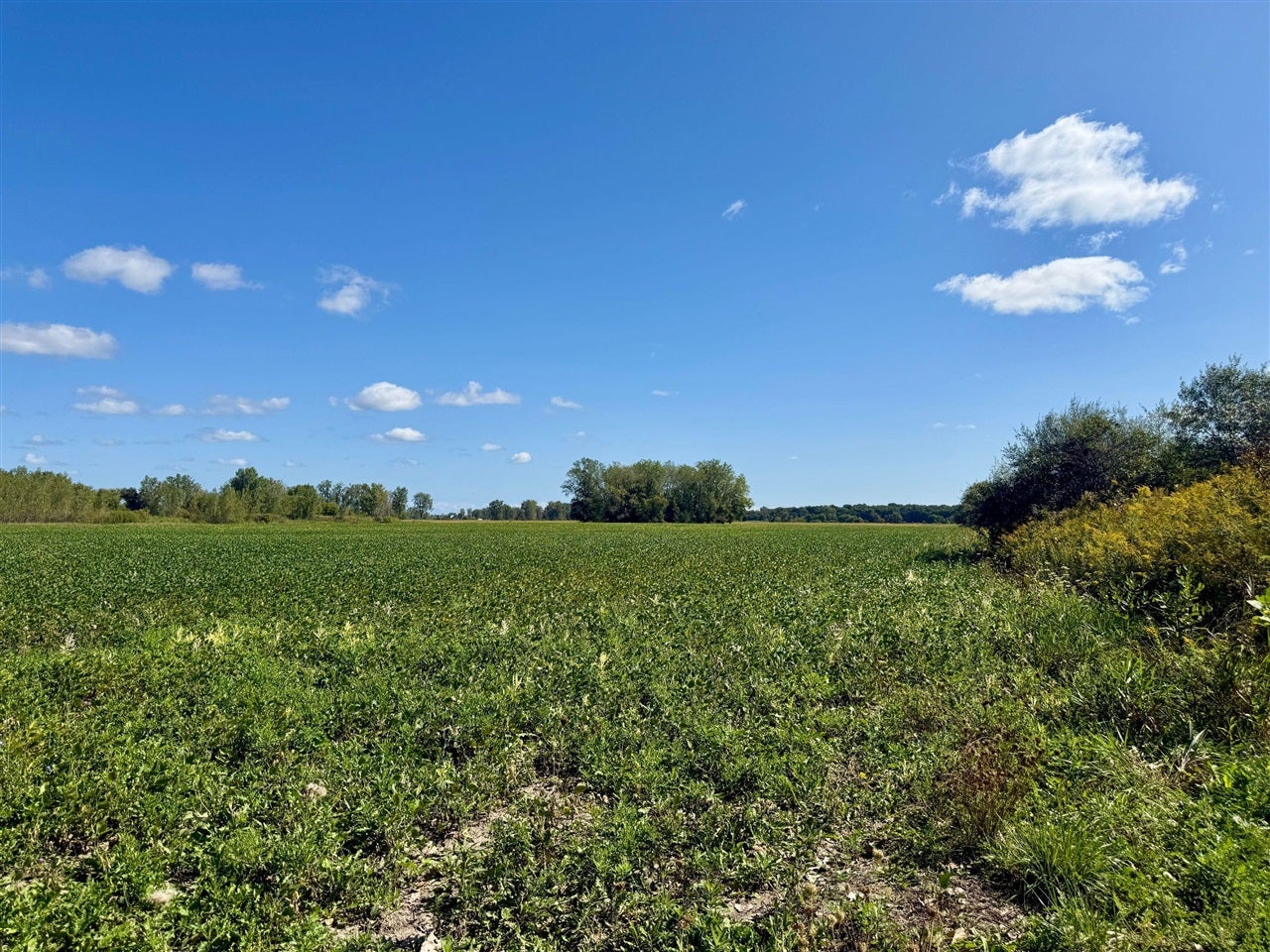 V/l Cade Road Capac, MI 48014 - Photo 12 of 43 Gallery Image 12