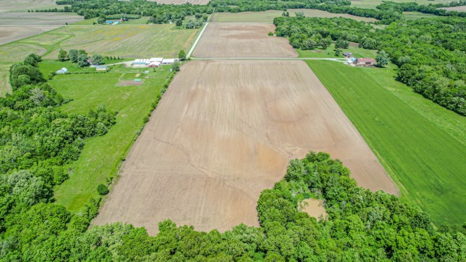 1000 North Shelby County Road Tower Hill, IL 62571 - Photo 2 of 7