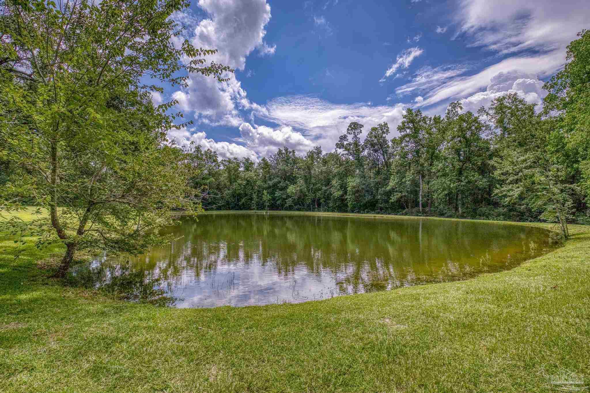 2345 Pompano Street Cantonment, FL 32533 - Photo 2 of 48 a view of a lake in middle of a forest