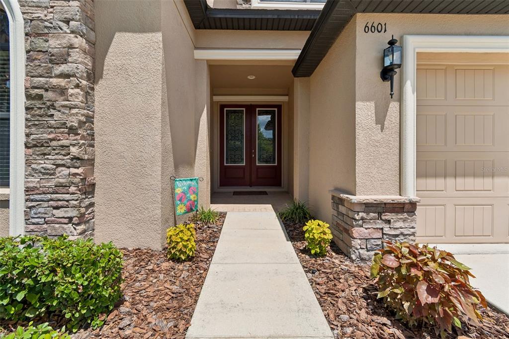 6601 Sparkling Way Wesley Chapel, FL 33545 - Photo 4 of 51