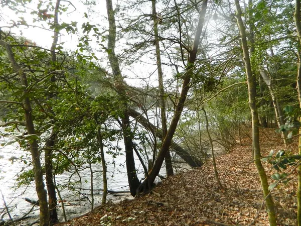 $64,500 | Lot 182 Heron Drive, Unit 182, Machipongo, VA 23405