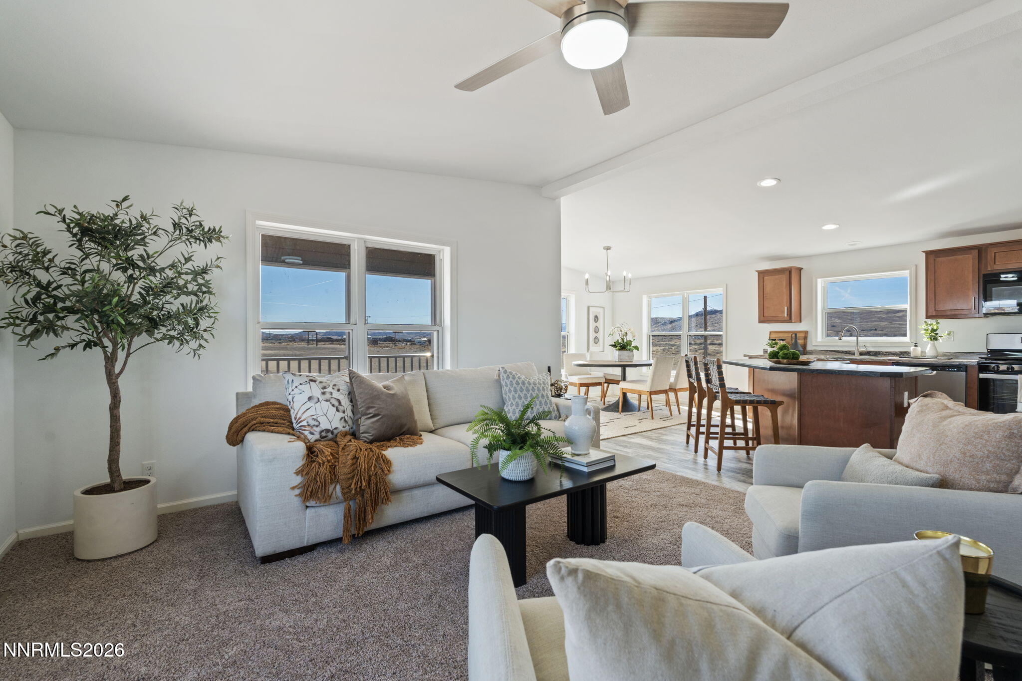 7730 Remington Road Silver Springs, NV 89429 - Photo 13 of 32 10-web-or-mls-DSC04618