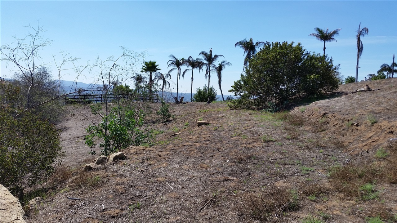 Dos Lomas Fallbrook Ca Fallbrook, CA 92028 - Photo 11 of 19 Gallery Image 11