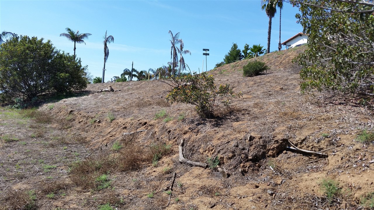 Dos Lomas Fallbrook Ca Fallbrook, CA 92028 - Photo 12 of 19 Gallery Image 12