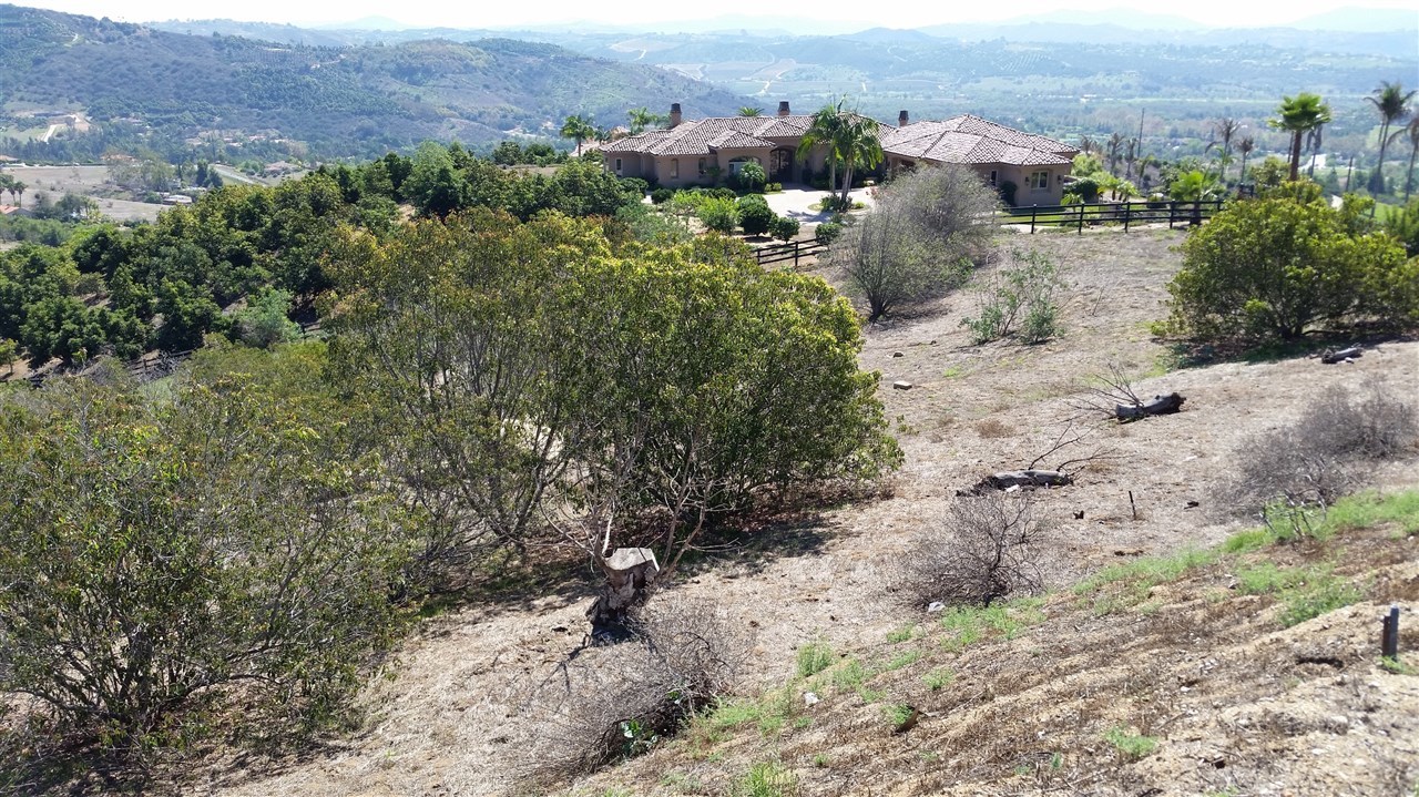 Dos Lomas Fallbrook Ca Fallbrook, CA 92028 - Photo 13 of 19 Gallery Image 13