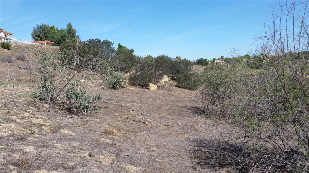 Dos Lomas Fallbrook Ca Fallbrook, CA 92028 - Photo 9 of 19 Gallery Image 9