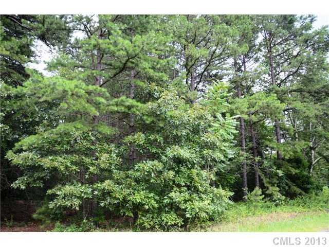 Lot 10 Freeze Road, Unit 10 Kannapolis, NC 28081 - Photo 3 of 6