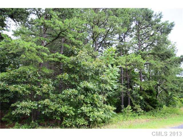 Lot 10 Freeze Road, Unit 10 Kannapolis, NC 28081 - Photo 4 of 6