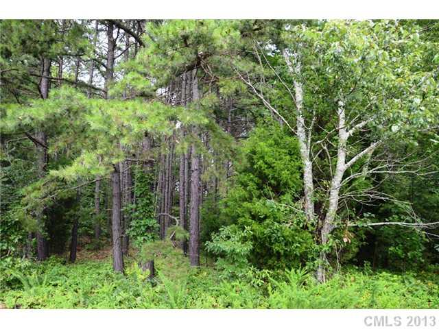 Lot 10 Freeze Road, Unit 10 Kannapolis, NC 28081 - Photo 6 of 6