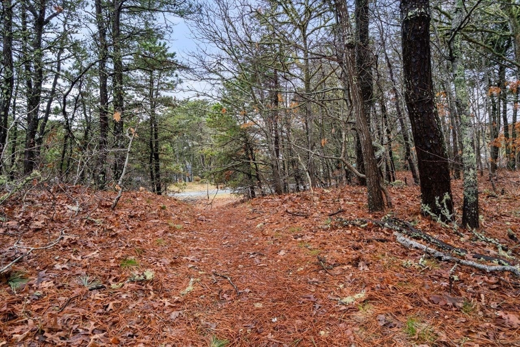 17 Joshua Jethro Road Harwich, MA 02645 - Photo 38 of 40