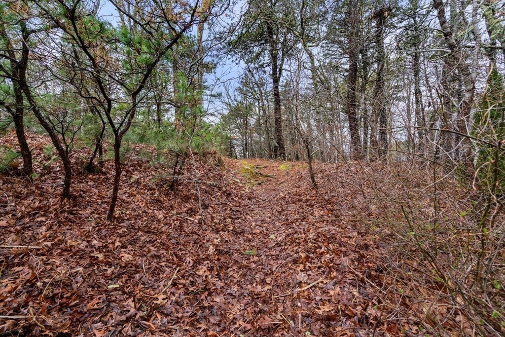 17 Joshua Jethro Road Harwich, MA 02645 - Photo 39 of 40