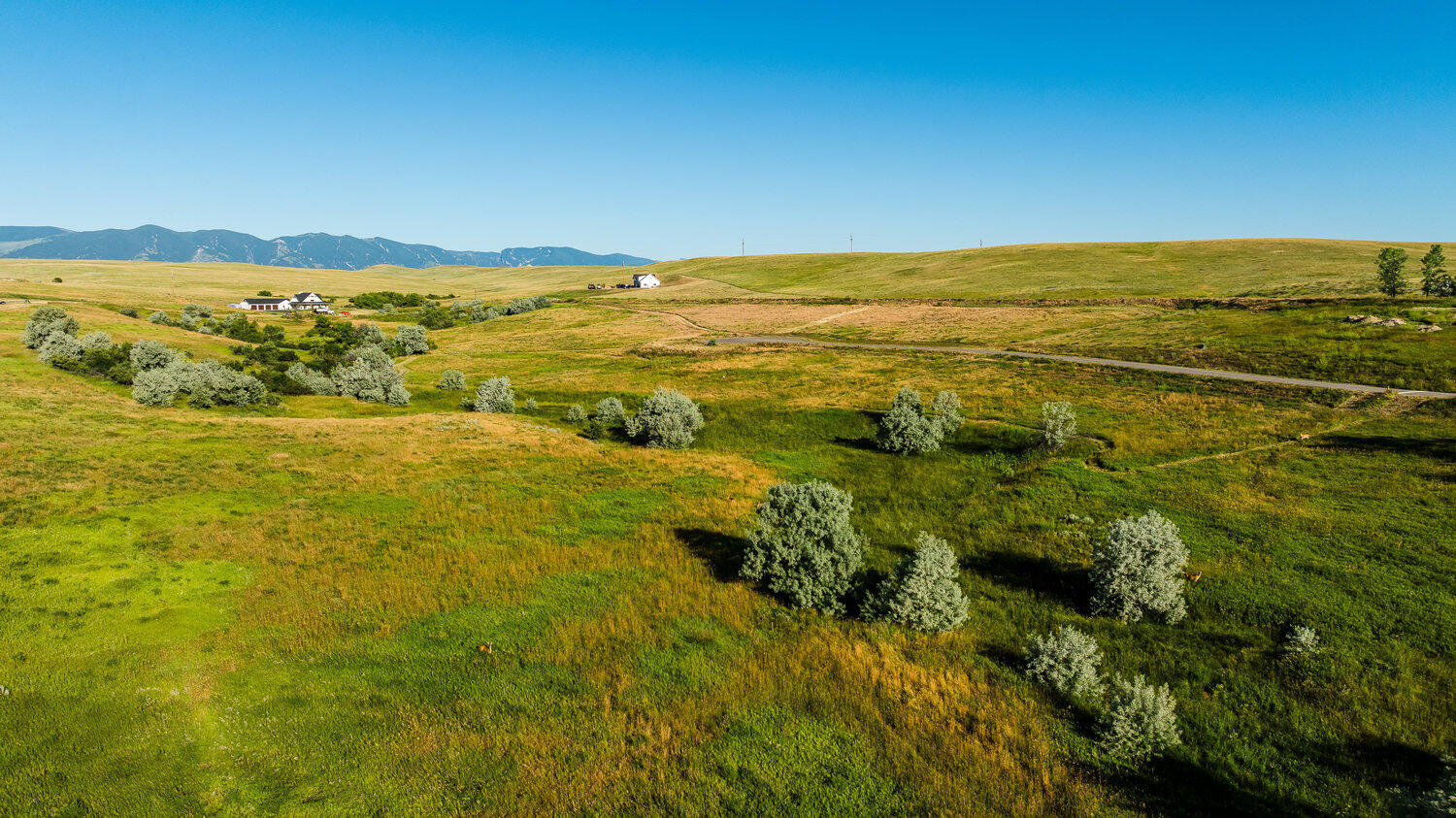 Piccard Road Sheridan, WY 82801 - Photo 8 of 21 6