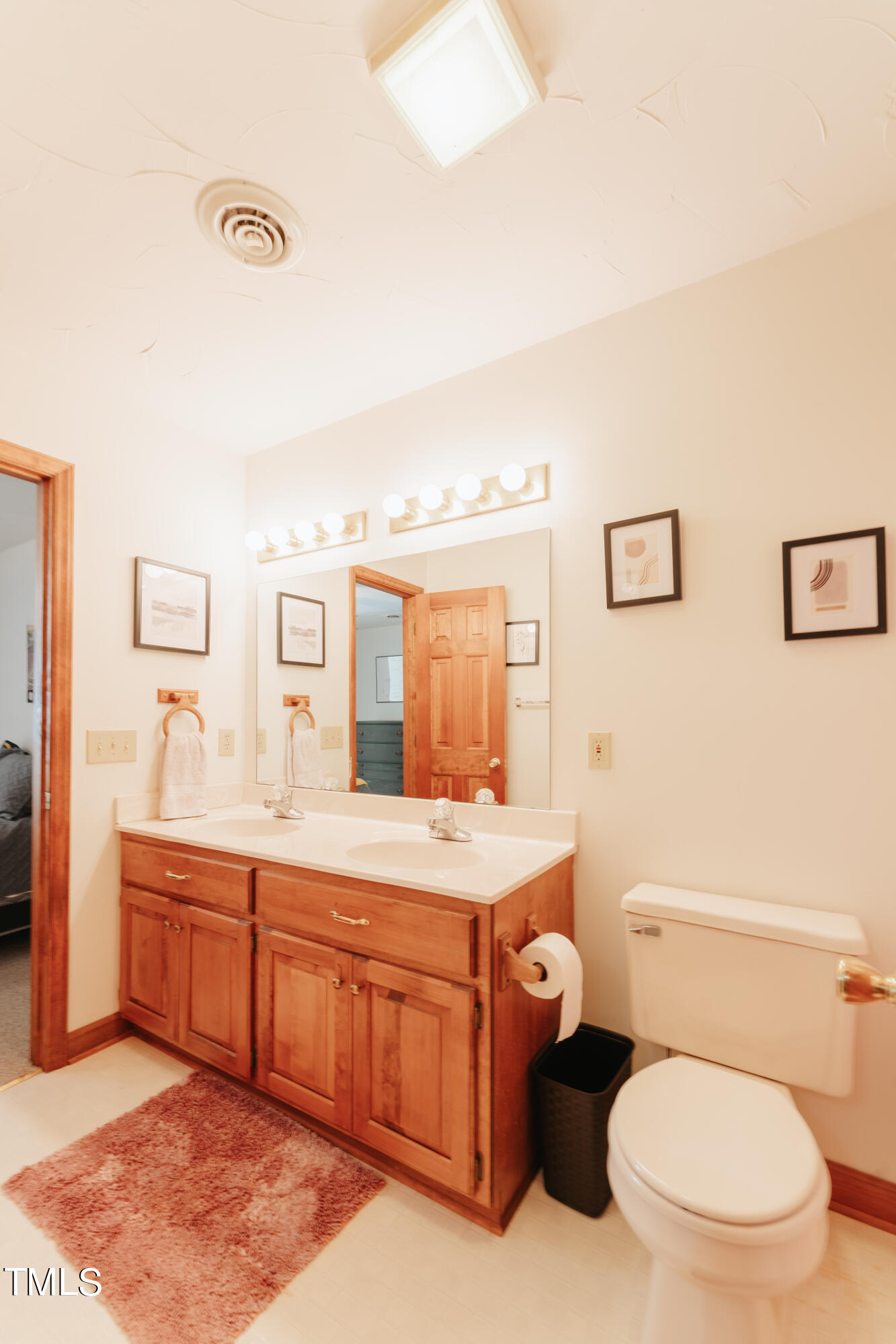 55 Sycamore Road Roxboro, NC 27574 - Photo 31 of 73 a bathroom with a toilet a sink and mirror