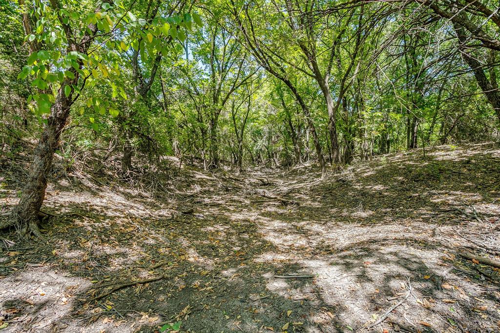 1040 Rays Way Weatherford, TX 76085 - Photo 19 of 20 Wooded land featuring mature trees and natural ground cover