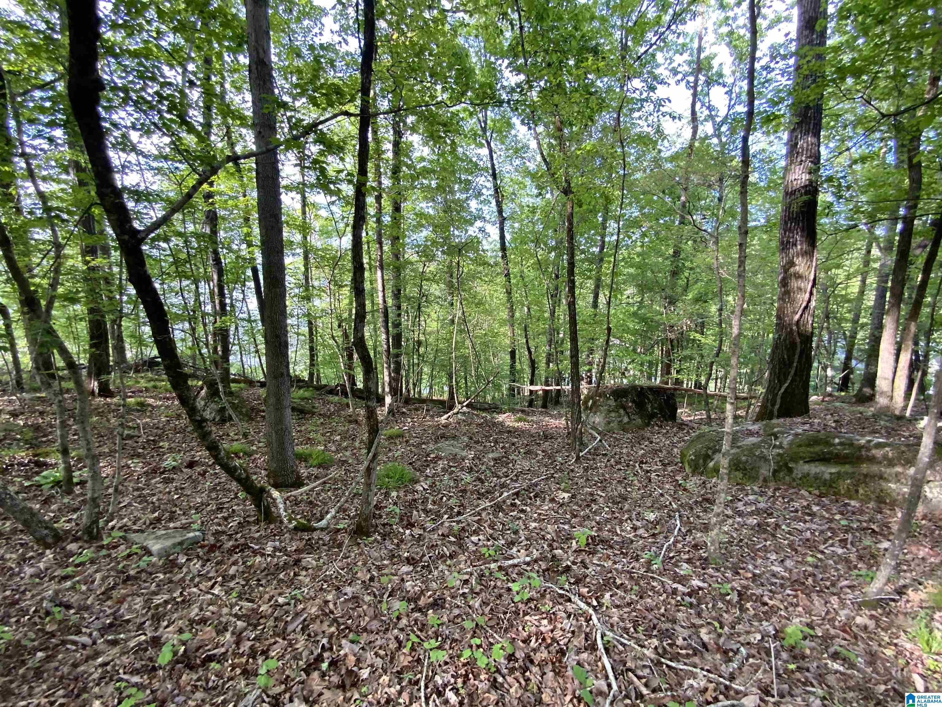102 Boulder Point Lane, Unit 6 & 7 Ohatchee, AL 36271 - Photo 36 of 42