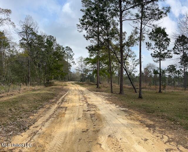 15429 Indian Fork Road Vancleave, MS 39565 - Photo 40 of 63 Road Through Property