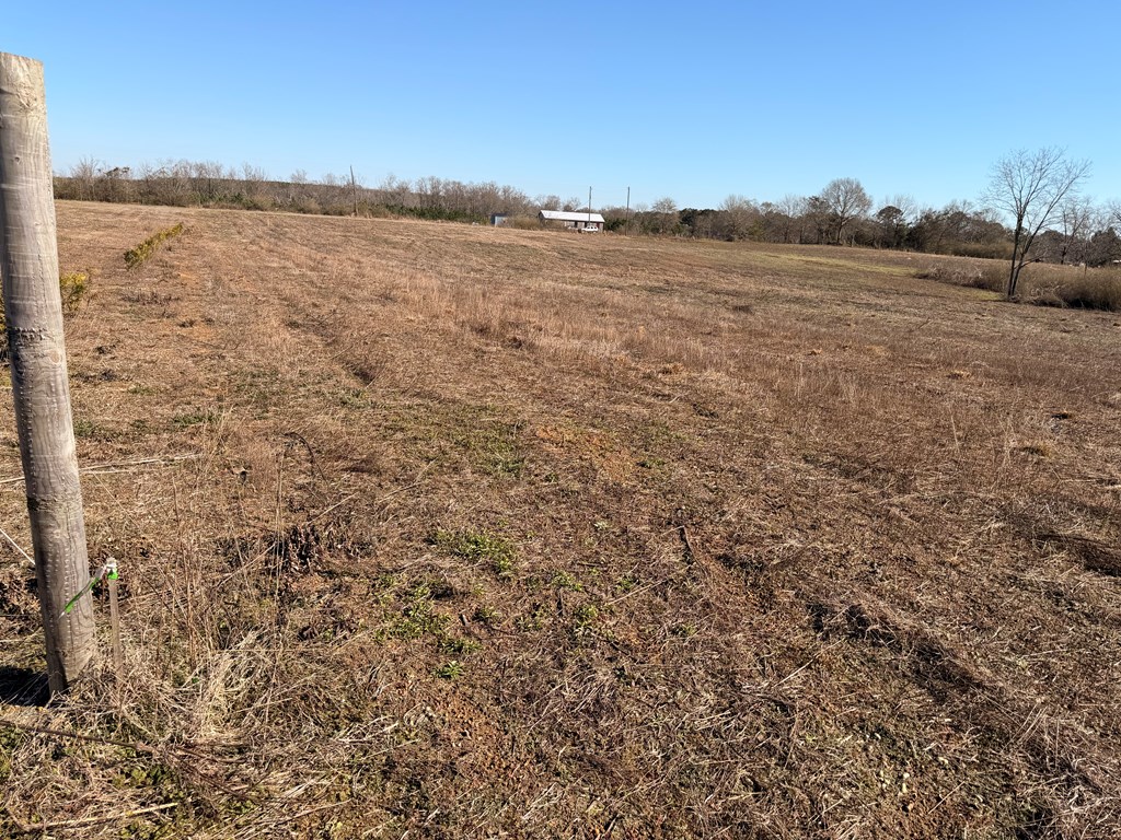 Lot 2 Culver Road Newville, AL 36353 - Photo 5 of 6