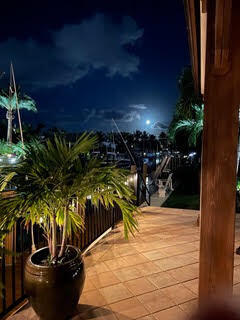 793 Appleby Street Boca Raton, FL 33487 - Photo 49 of 49 65