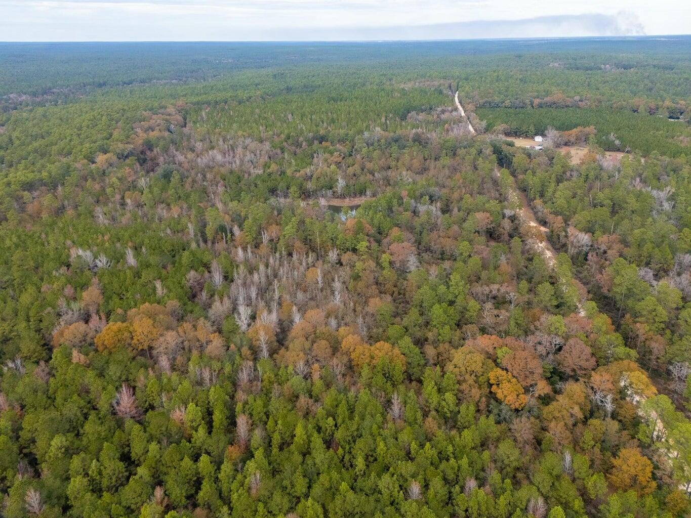 0 North Sherman Kennedy Road Baker, FL 32531 - Photo 3 of 7 a view of a lush green forest with trees and some houses